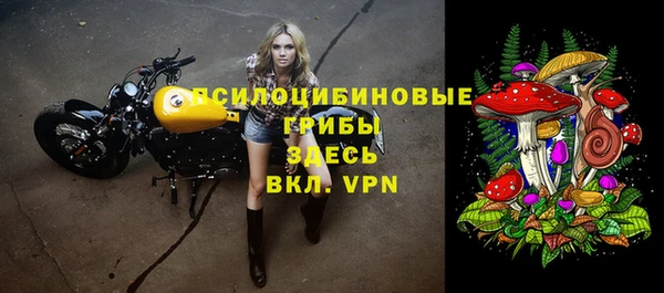 прущие крисы Алзамай