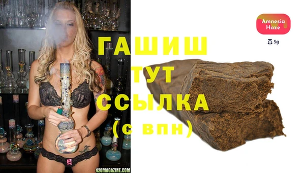 хмурый Алексин