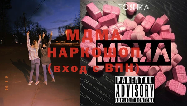 хмурый Алексин