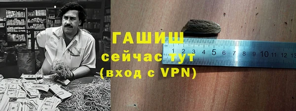 хмурый Алексин
