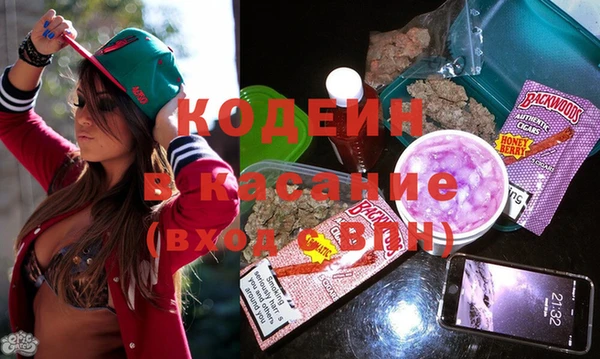 хмурый Алексин