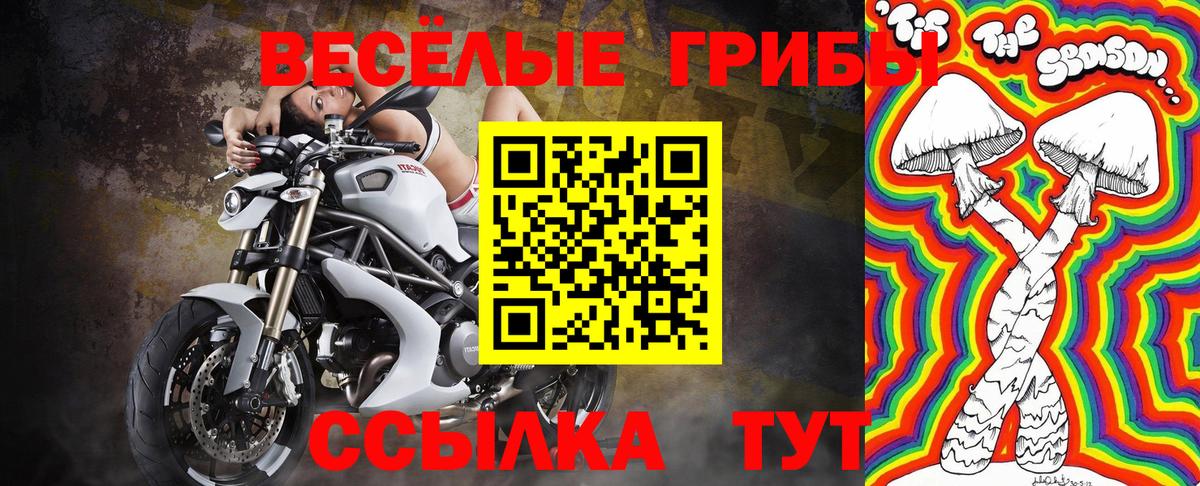 Богородицк  Галлюциногенные грибы GOLDEN TEACHER  Вход с VPN  Псилоцибиновые грибы Cubensis 
