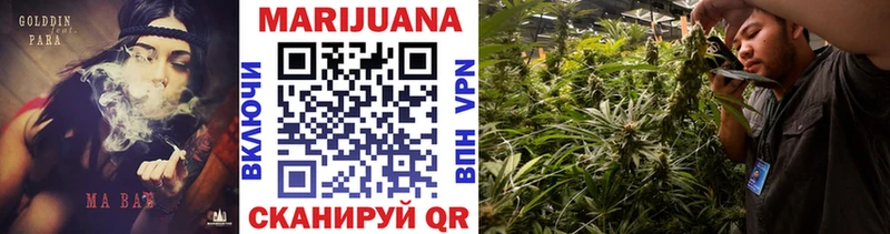 купить наркотик  blacksprut как войти  МАРИХУАНА сатива  Богородицк 